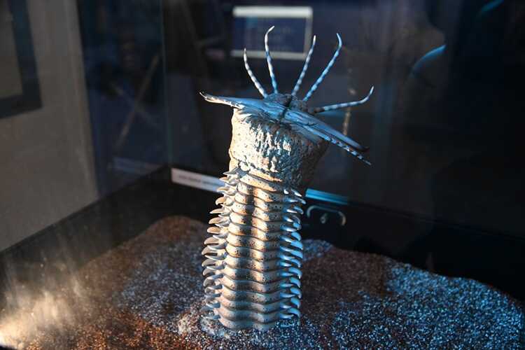 Wystawa „Tajemnice Głębin" w Centrum Nauki Experyment (fot. Dorota Patzer)