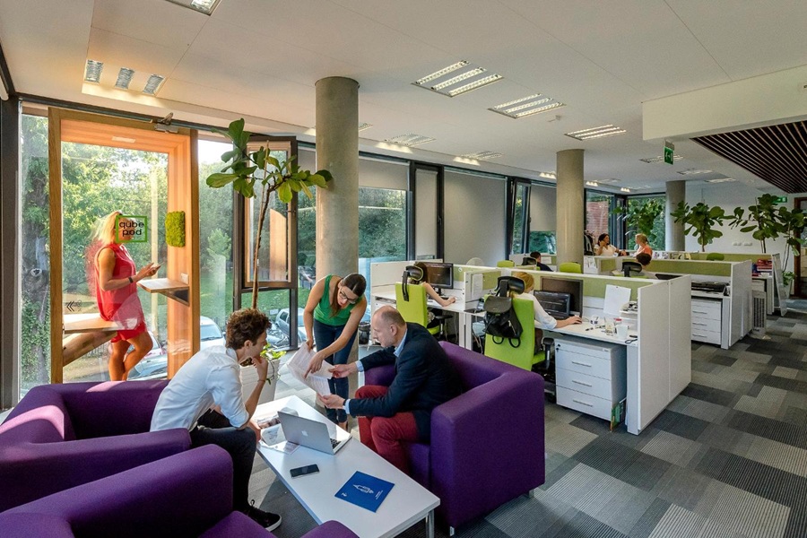 Wnętrze przestrzeni coworkingowej — konsultacja biznesowa przy fioletowych kanapach, w tle stanowiska pracy z zielonymi krzesłami i roślinami. Nowoczesne biuro z dużymi oknami i naturalnym światłem.